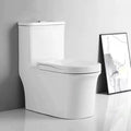 Squatting and sitting dual-purpose toilet siphon can squat or sit, large diameter, large impact, deodorizing filter, anti-clogging, dual-purpose toilet ceramic