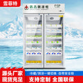 Pharmaceutical refrigerator - large capacity upright medical refrigerator for pharmacies, gsp certified, single or double door display cabinet for freshness preservation