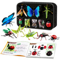 Children's realistic insect model 4d assembly educational animal toy - butterfly, bee, mantis - early education cognitive gift for boys