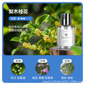 Phantom large bottle 160ml-pear wood osmanthus