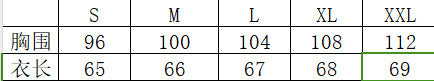 Shipped: hot-selling cross-border  women's printed v-neck lantern sleeve blouse, long-sleeved v-neck casual shirt