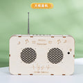 Multifunctional radio recorder technology small production educational toy student handmade DIY model scientific experiment