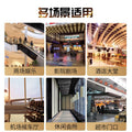 Sl guide rail commercial massage chair coin-operated banknote sharing scan code shopping mall same style full body massage space capsule smart