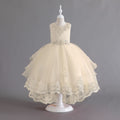 Exportin stockkids dress tail wedding dress princess dress female flower girl piano performance dress kids dress