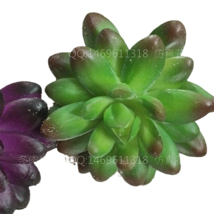 Simulated pentagram succulent plant living room ornament creative gardening ornament green plant fake flower tabletop dining room decoration