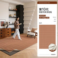 Removable and washable carpet, living room, retro style, double layer, machine washable sofa sound insulation pad, pure color, easy to care for, removable carpet