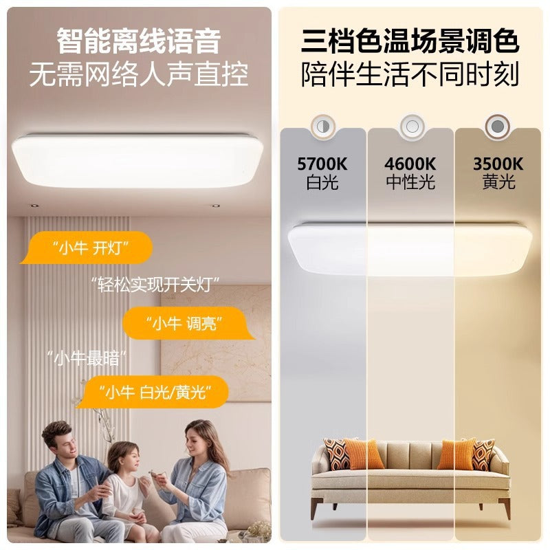 Bull ceiling light bedroom light luxury high-end home decoration lighting living room hall main light simple led light lighting