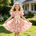 Girls' summer new sweet floral print bubble sleeve dress - perfect for girls' birthday parties - french style cross-border fashion