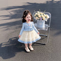 Girls' autumn chic dress - long sleeve mesh skirt for kids - sweet baby girl's fluffy cake dress - toddler skirt