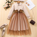new arrival female youthlong sleeves lapel girdle mesh patchwork dress