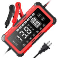 12v/24v 16a lithium iron phosphate (lifepo4) & lead-acid battery charger, 12v battery charger
