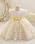 export baby dress short one year old western style new arrival princess dress three-dimensional butterfly birthday skirt cute