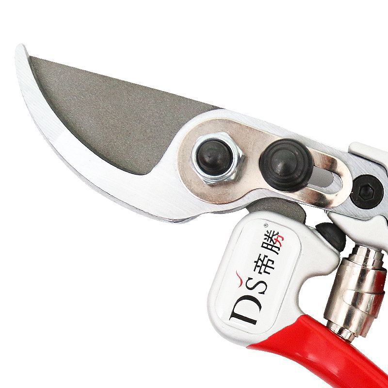 Disheng 2069 Taiwan, China Garden Shearing Branch Scissors Labor-saving Fruit Tree Pruning Shearing Horticulture Bonsai, Rixin Railway S