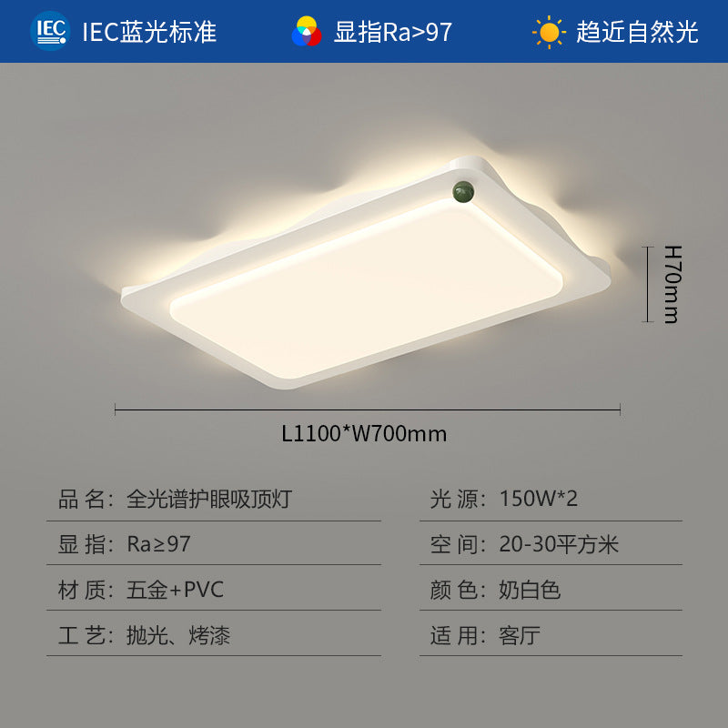 Whole house lighting combination package Living room light Ceiling light Medium antique walnut color rectangular rotunda main light