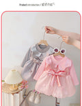 Girls' dress -  autumn korean style, trendy & chic, toddler & little girl, cute & fashionable, bowknot mesh party dress
