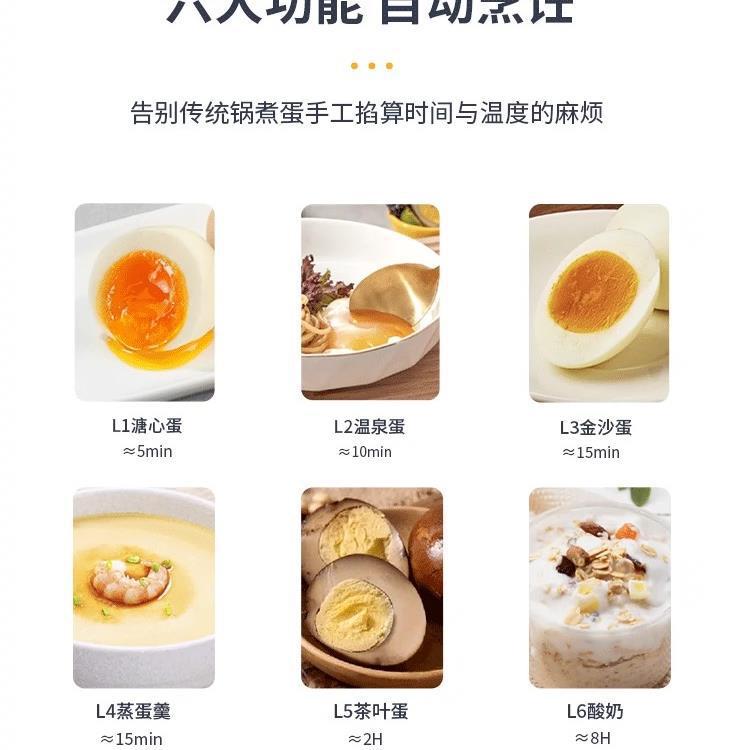 German egg cooker 2025 new automatic power-off home small cross-border multifunctional dormitory smart steamer