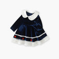 Baby girl dress autumn winter new girls' navy style peter pan collar embroidered princess dress first birthday party dress