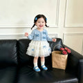 Sweet bowknot girls' dress - new mesh collection for autumn  - sweet mesh princess dress for baby girls