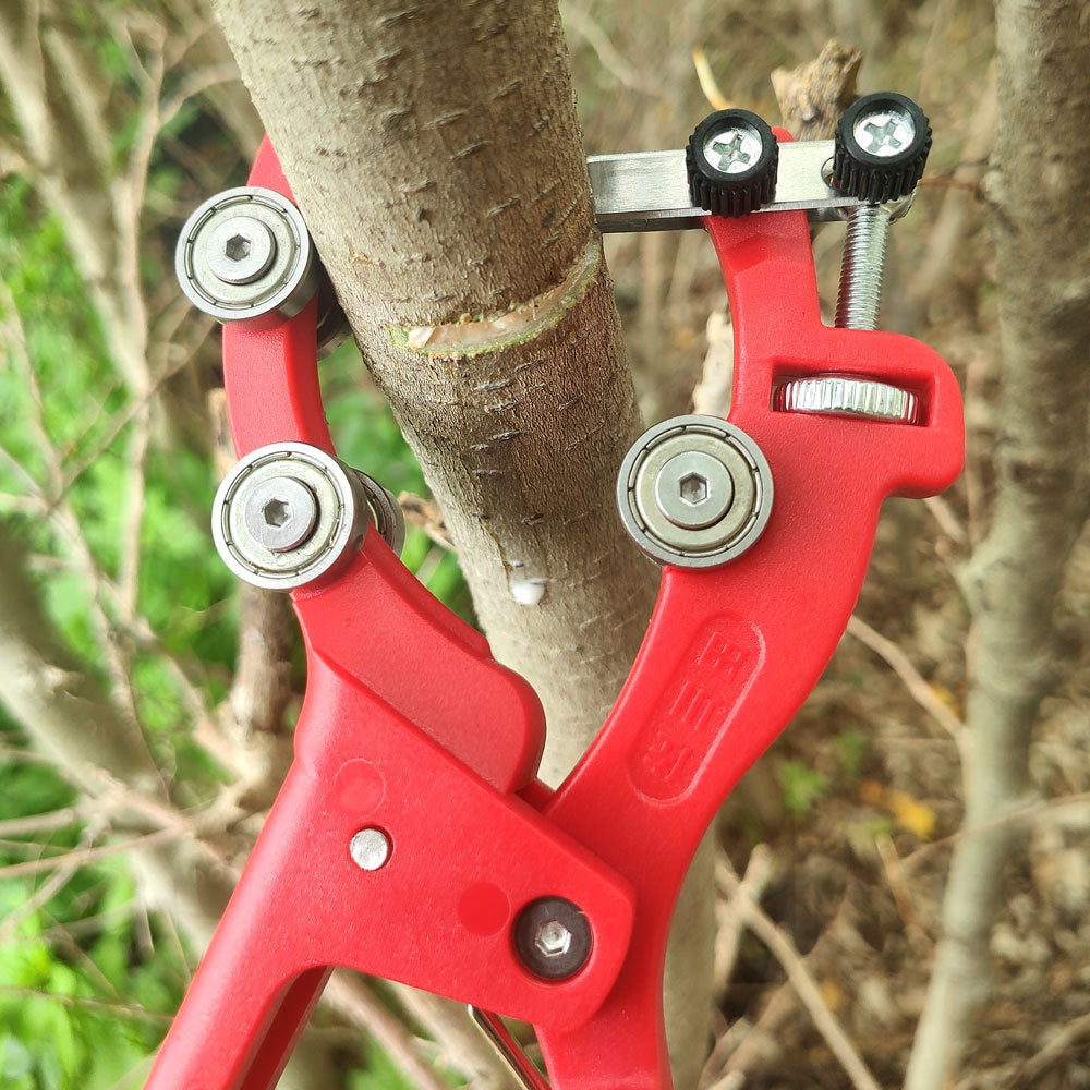 Sakawada 9026 New type fruit tree ring peeling pliers scraping nail opener jujube grape orange ring cutting bearing peeling