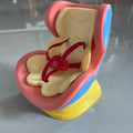 Only the seat labubu second generation adapted doll security seat car aromatherapy air conditioning air outlet ornaments
