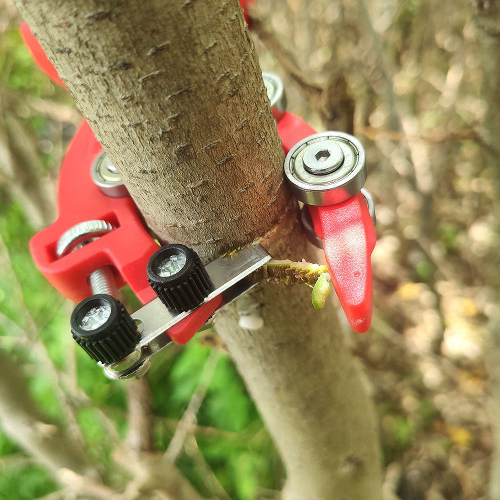 Sakawada 9026 New type fruit tree ring peeling pliers scraping nail opener jujube grape orange ring cutting bearing peeling