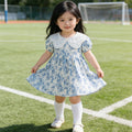 summer new arrival: lightweight girls' dress - blue and white porcelain doll collar, short-sleeved, stylish baby princess summer dress