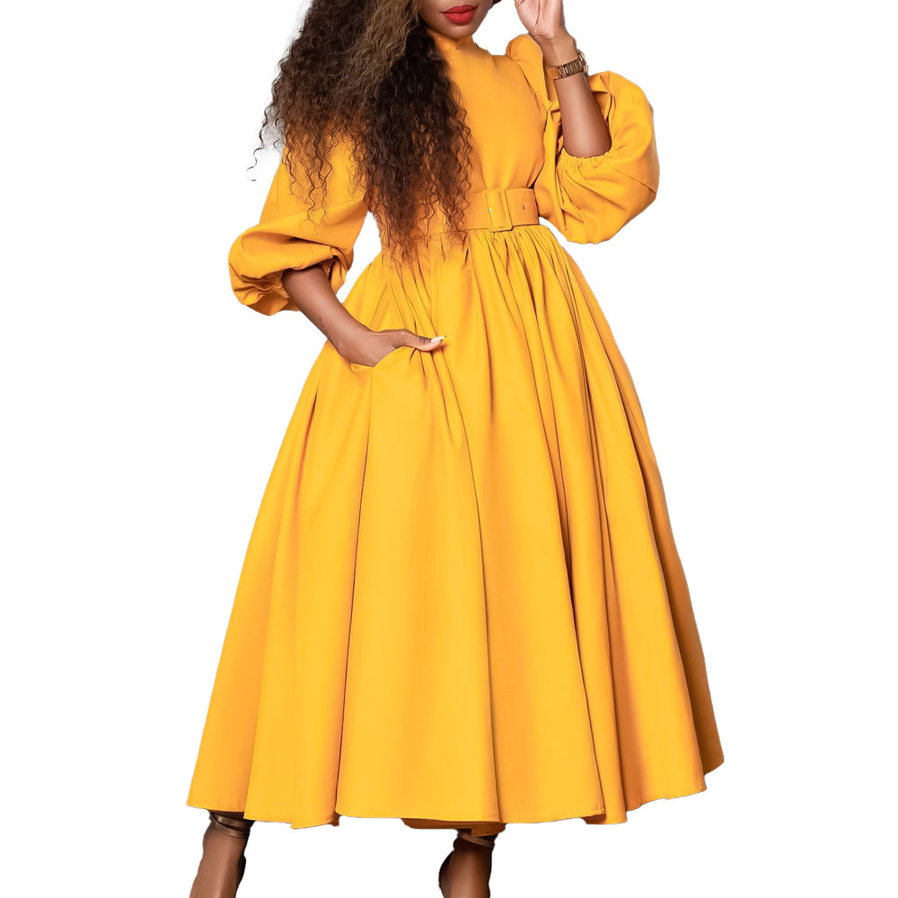 D491  women's winter new arrival: semi-high neck, long sleeve, cinched waist, elegant, slimming, a-line foreign trade dress