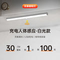 32cm induction charging model [white light] + data cable