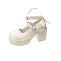 Retro mary jane shoes women's 2024 new arrivals witch shoes super high heel chunky heel platform round toe versatile hot girl flats