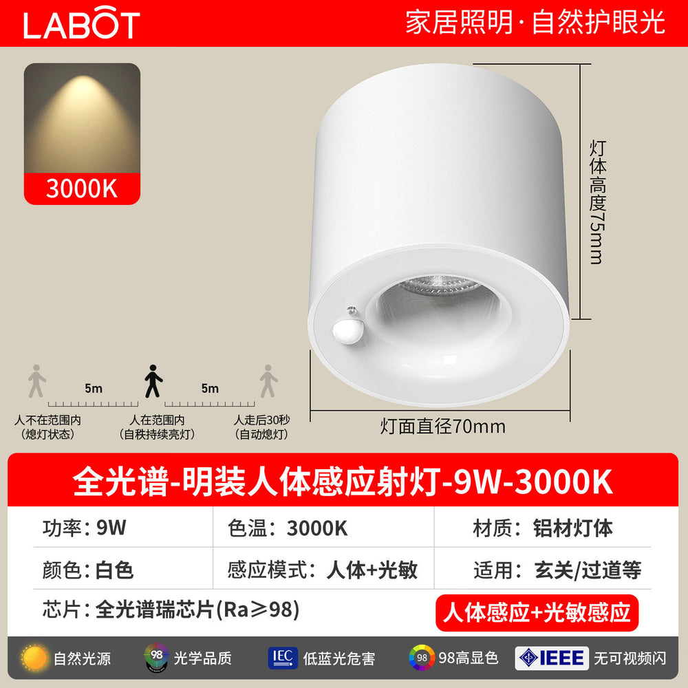 Surface-mounted human body sensor light for home corridor aisle light entrance entrance light corridor downlight infrared ceiling spotlight