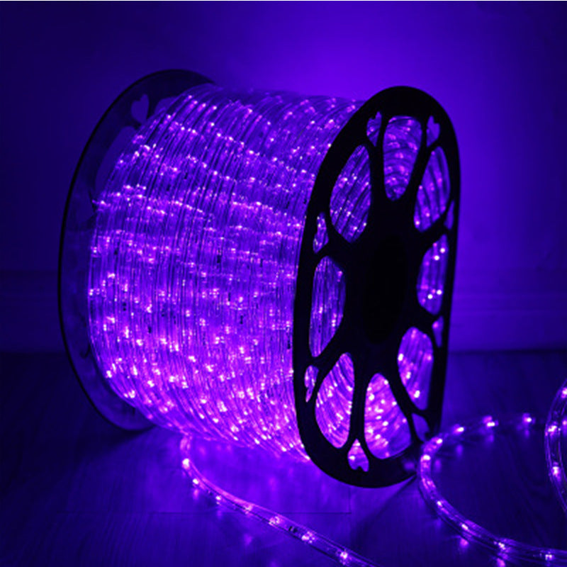 Lighting light strip hotel B & B LED rainbow tube round two-wire light festival decoration flexible outdoor ambient light super bright