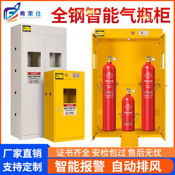 Laboratory intelligent all-steel gas cylinder cabinet with alarm cylinder cabinet Acetylene hydrogen gas safety cabinet Explosion-proof gas cylinder cabinet