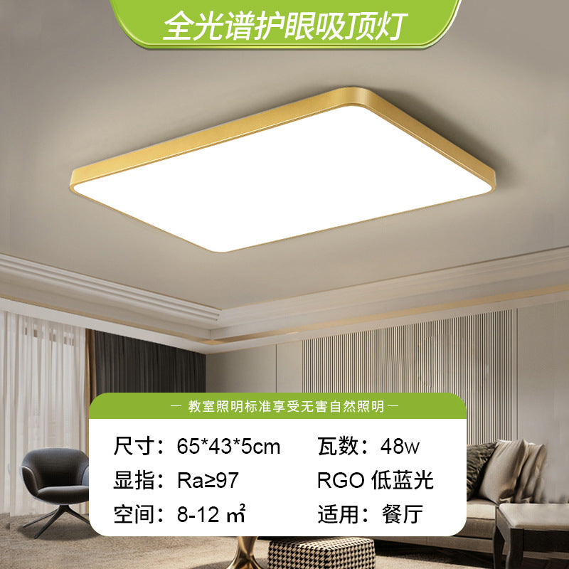 LED simple ceiling light bedroom light 2025 new master bedroom advanced lighting living room light Zhongshan lighting