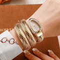 Honghong cross-border snake-shaped watch women's fashion bracelet watch creative hip hop quartz watch stylish bracelet watch wholesale