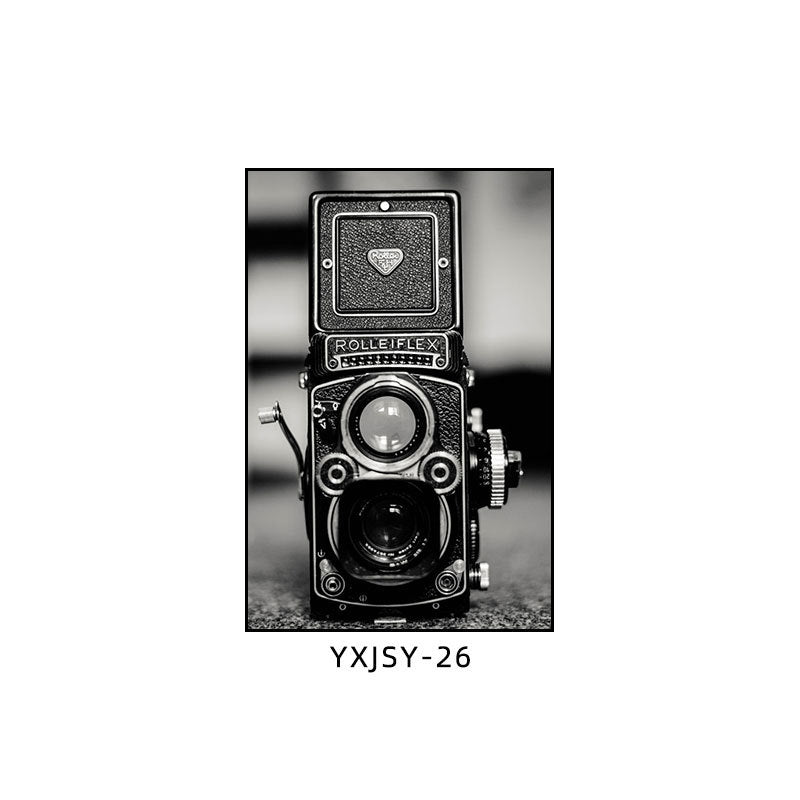 Camera photography Decorative painting Photo studio Black and white industrial style hanging painting Media studio Camera mural