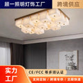 Marble all-copper ceiling lamp modern new chinoiseriecasualaccessible luxury bedroom dining room study lamp designer creative living room