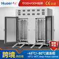 Wahl ultra-low temperature refrigerator commercial freezer minus 45 degrees quick freezing stainless steel quick freezing cabinet seafood food quick freezing machine