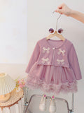 Spring & fallnew arrivalgirl princess dress spring clothing children's clothing western style one year old baby mesh suit dress