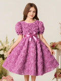Girls' dress (sizes for mid-to-large children), 3d rose embellished dress + bow belt