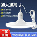 Led bulb with cord, plug, and switch - hanging energy-saving light with e27 base