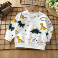 Children's hoodie  autumn collection, 100% cotton, long sleeve t-shirt for boys and girls, infant and toddler pullover top