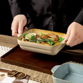 Creative kiln-turned double-ear ceramic baking dish baking tool cheese rice pizza plate pasta plate barbecue rectangular plate