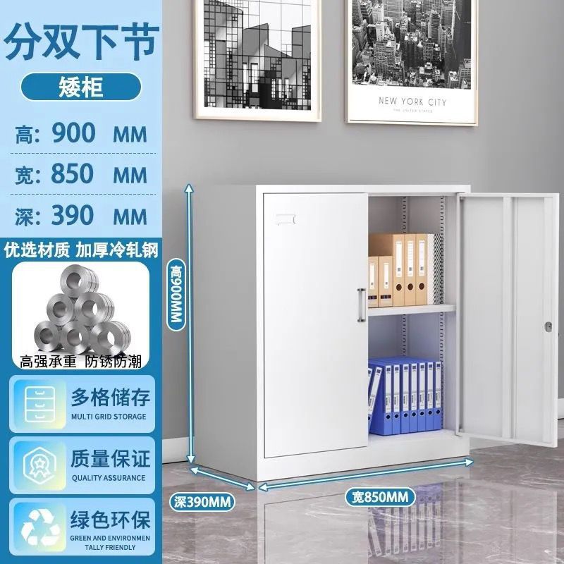 Office metal file cabinet - accounting & finance storage cabinet - voucher cabinet - storage cabinet - document & record cabinet - lockable cabinet