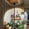 Indoor plant light, succulent fill light, led full spectrum imitation sunlight, for home balcony thermal plant green plant growth light