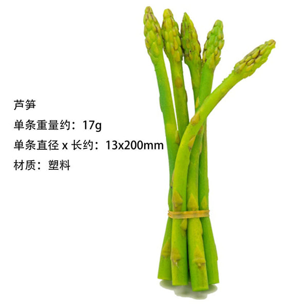 Simulated plastic asparagus fake vegetables green bamboo shoots spring bamboo shoots asparagus fruit model decorative props teaching aids children's toys