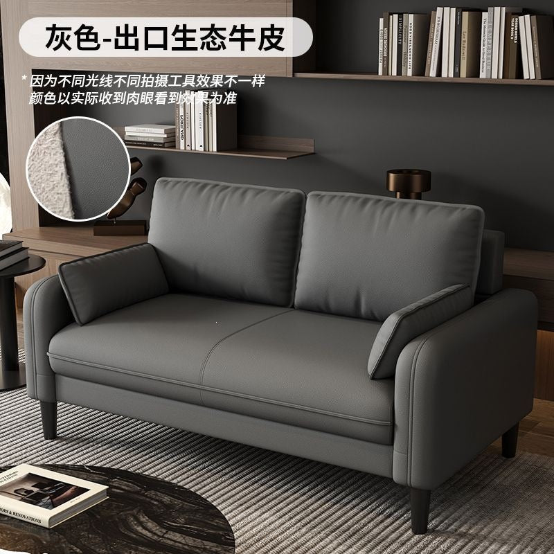 Small apartment sofa double three-person accessible luxury apartment rental room rest area reception clothing store b&b cat scratching leather wood