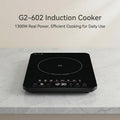 G2-602 induction cooker