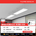 120*20 white frame 60w-low blue white light 5000k [puri chip 98 display]-sealed and anti-mosquito