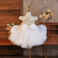 Kids' princess dress, european & american style flower girl sequin tutu, runway performance costume, girls' lace dress - in stock