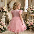 Girls' formal dresses fairy dress baby birthday first birthday sweet kids princess dress lace embroidery in stock cross-border wholesale